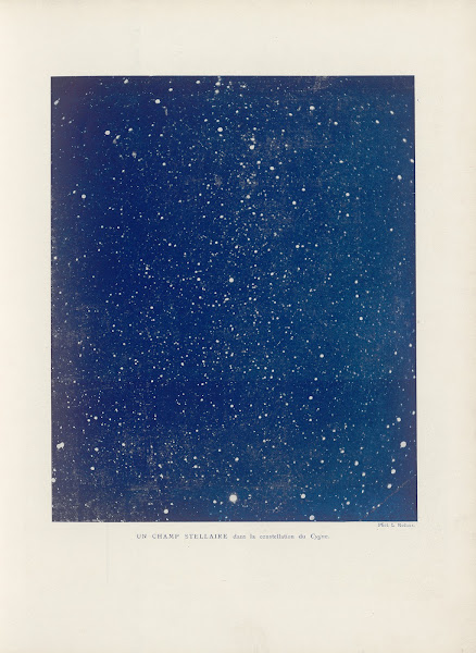 Un Champ Stellaire dans la constellation du Cygne 1923