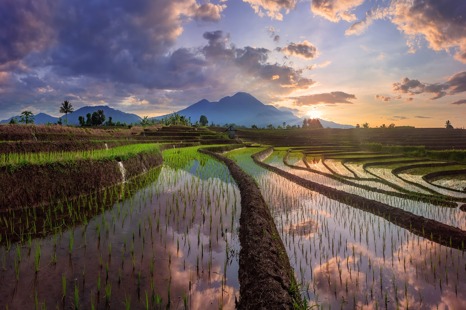 Keanekaragaman Budaya dan Potensi Wisata Kabupaten Bengkulu Utara