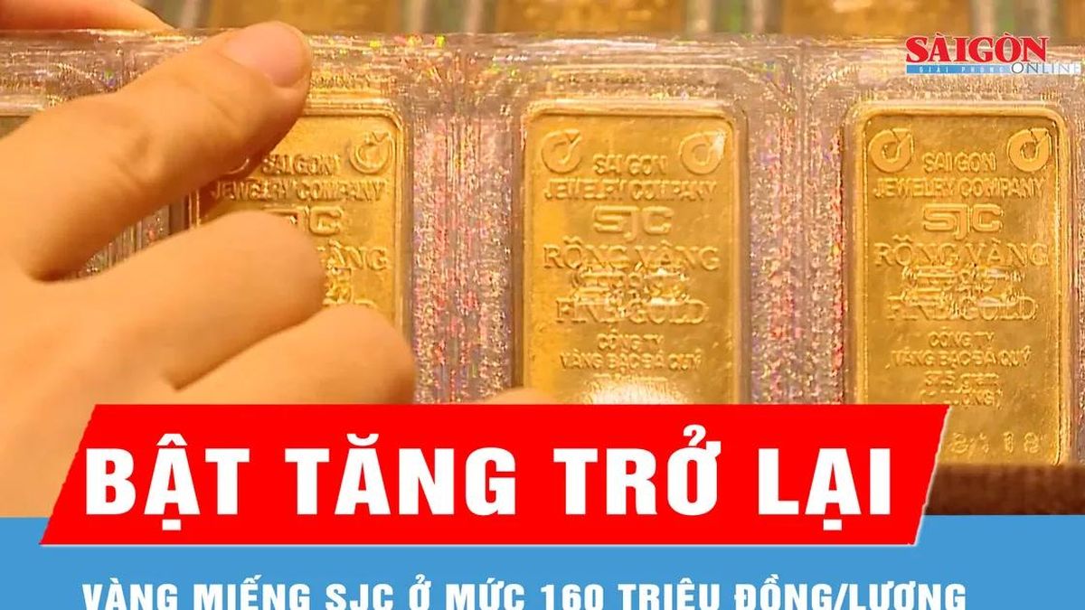 Giá vàng trong nước bật tăng trở lại, tái lập mốc 160 triệu đồng/lượng - Báo Sài Gòn Giải Phóng