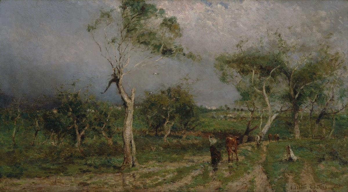 The storm 1896