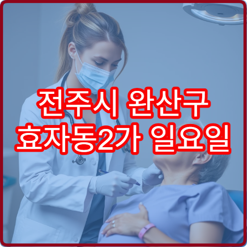 전주시 완산구 효자동2가 일요일 진료 산부인과 주말 진료 정보
