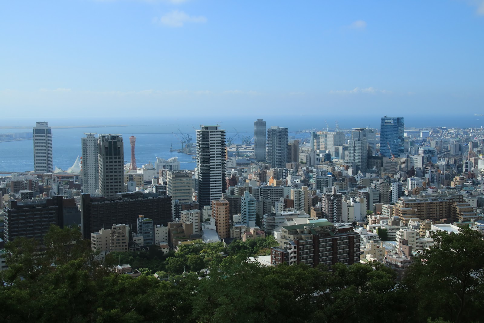神戸都心と港の街並み
