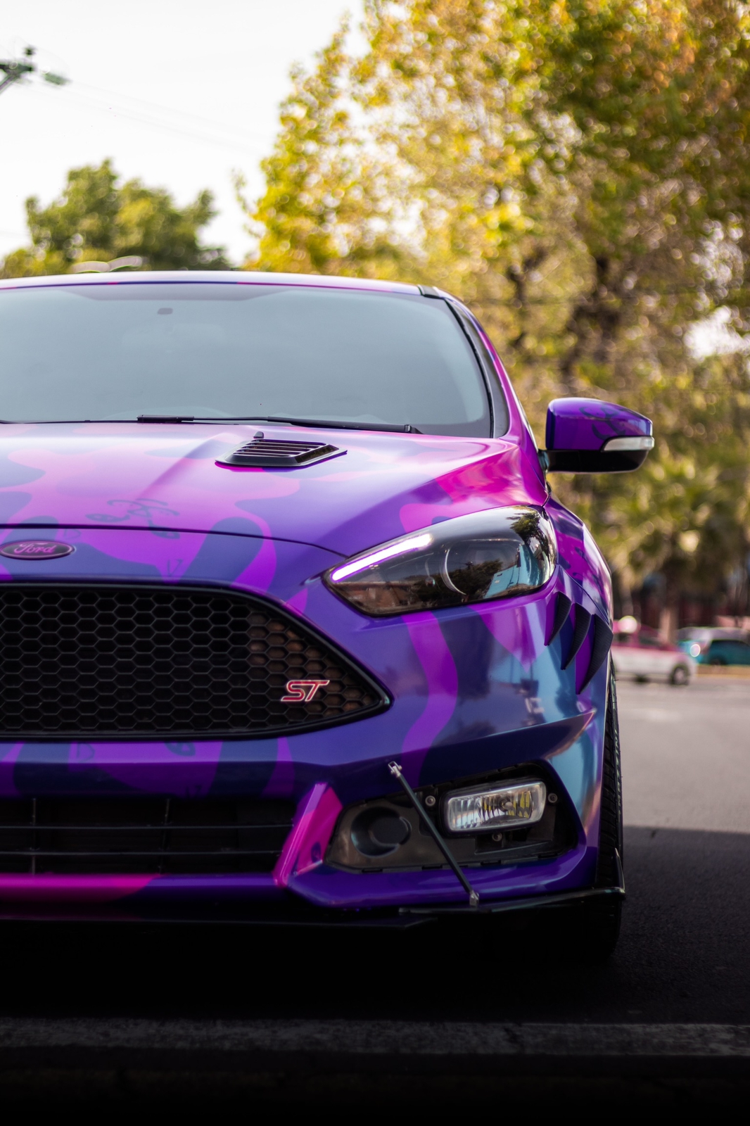 Focus ST · RipNDip 1
