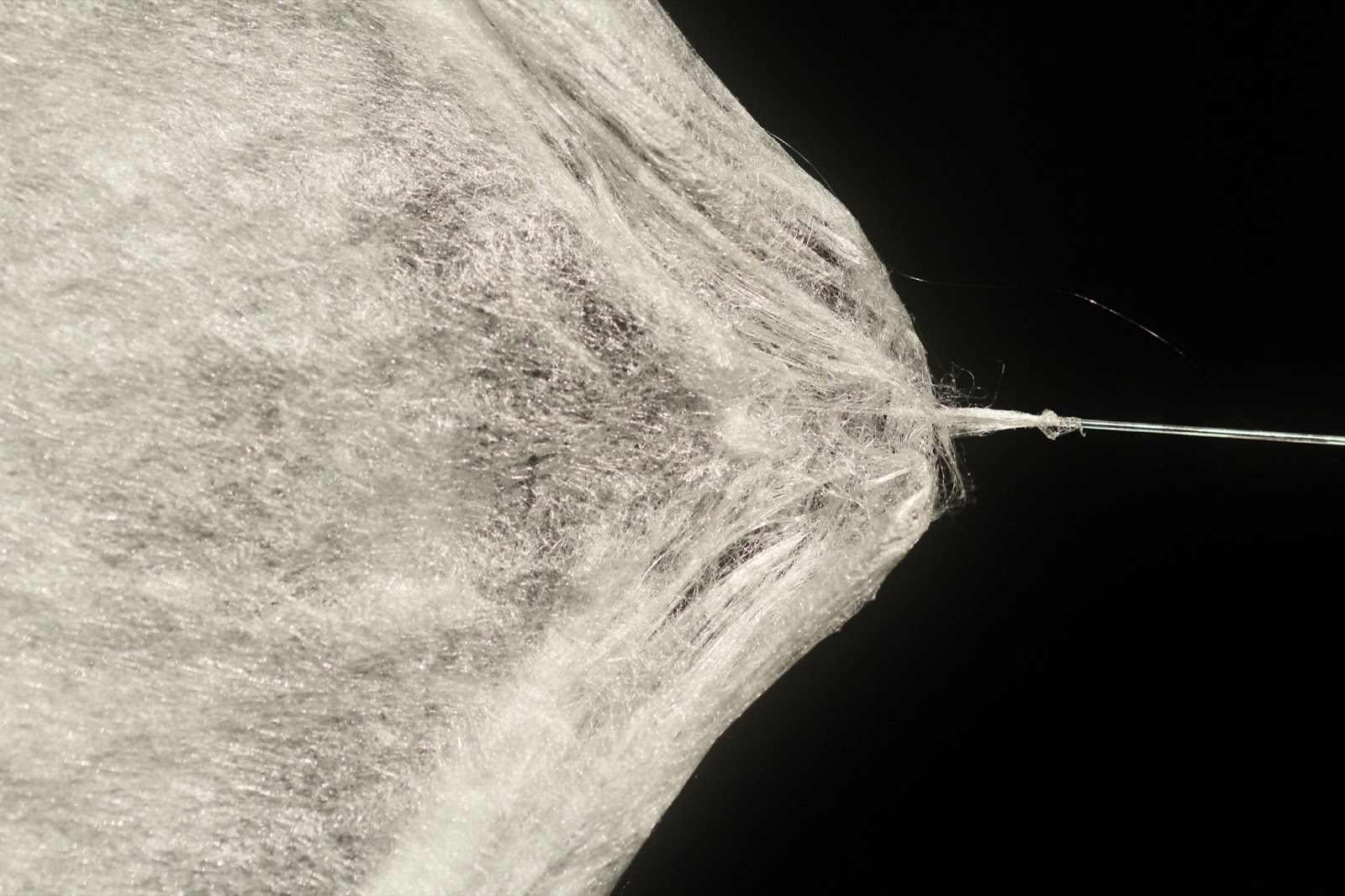 養蚕農家での実践を通じた平面吐糸の感性的価値の探究-thumb-4