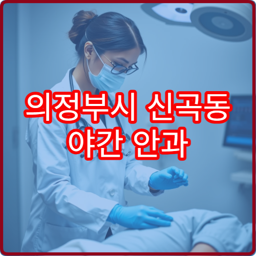 의정부시 신곡동 야간 안과 시야흐림 안구건조 진료 병원 안내
