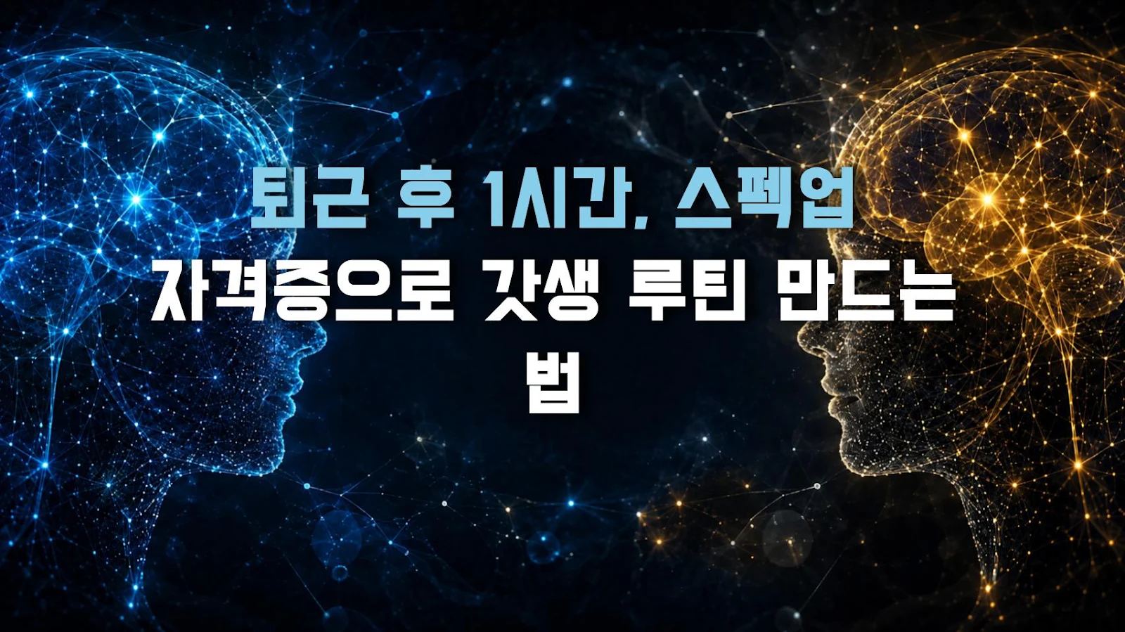 퇴근 후 1시간, 스펙업 자격증으로 갓생 루틴 만드는 법