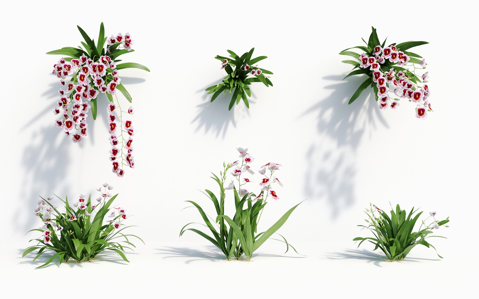 Maxtree - Plant Models Vol.8