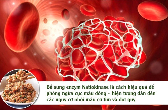 Nattokinase enzyme 