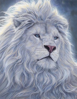 White Lion Face Picture