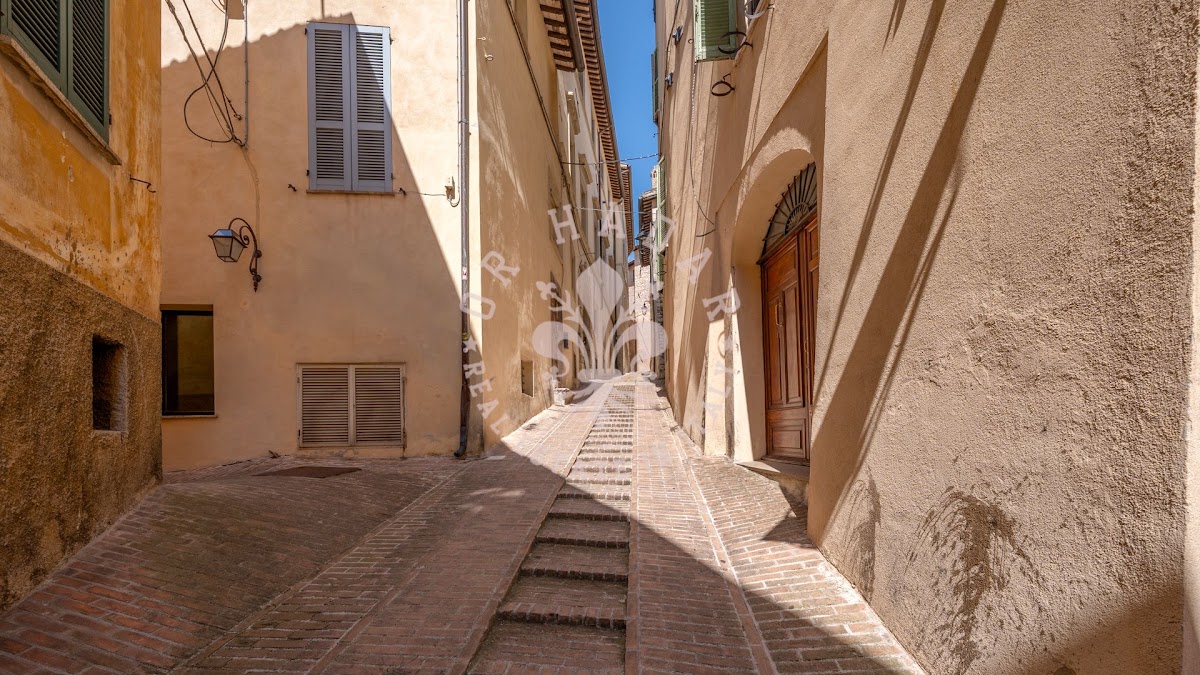 פאלאצו פטרוני (Palazzo Petroni) — 7