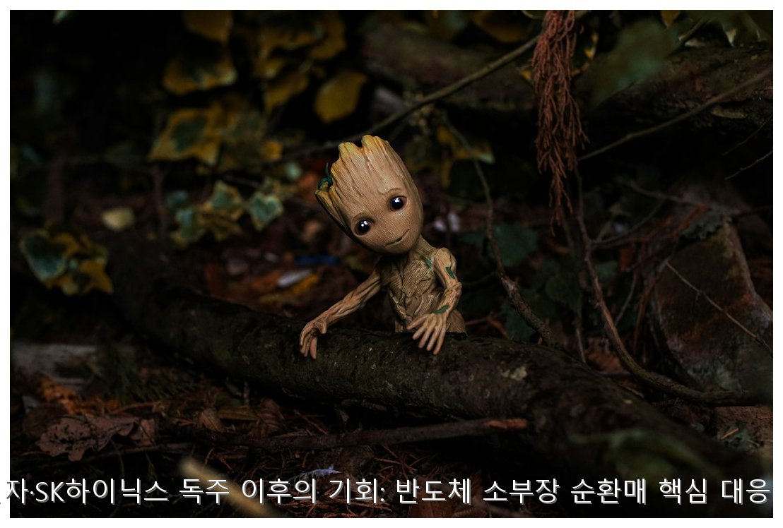 삼성전자 독주 후 소부장 순환매 전략 핵심 안내 및 분석 인포그래픽 (5)