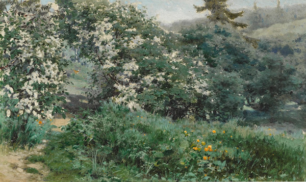 Tree Blossoms 1900