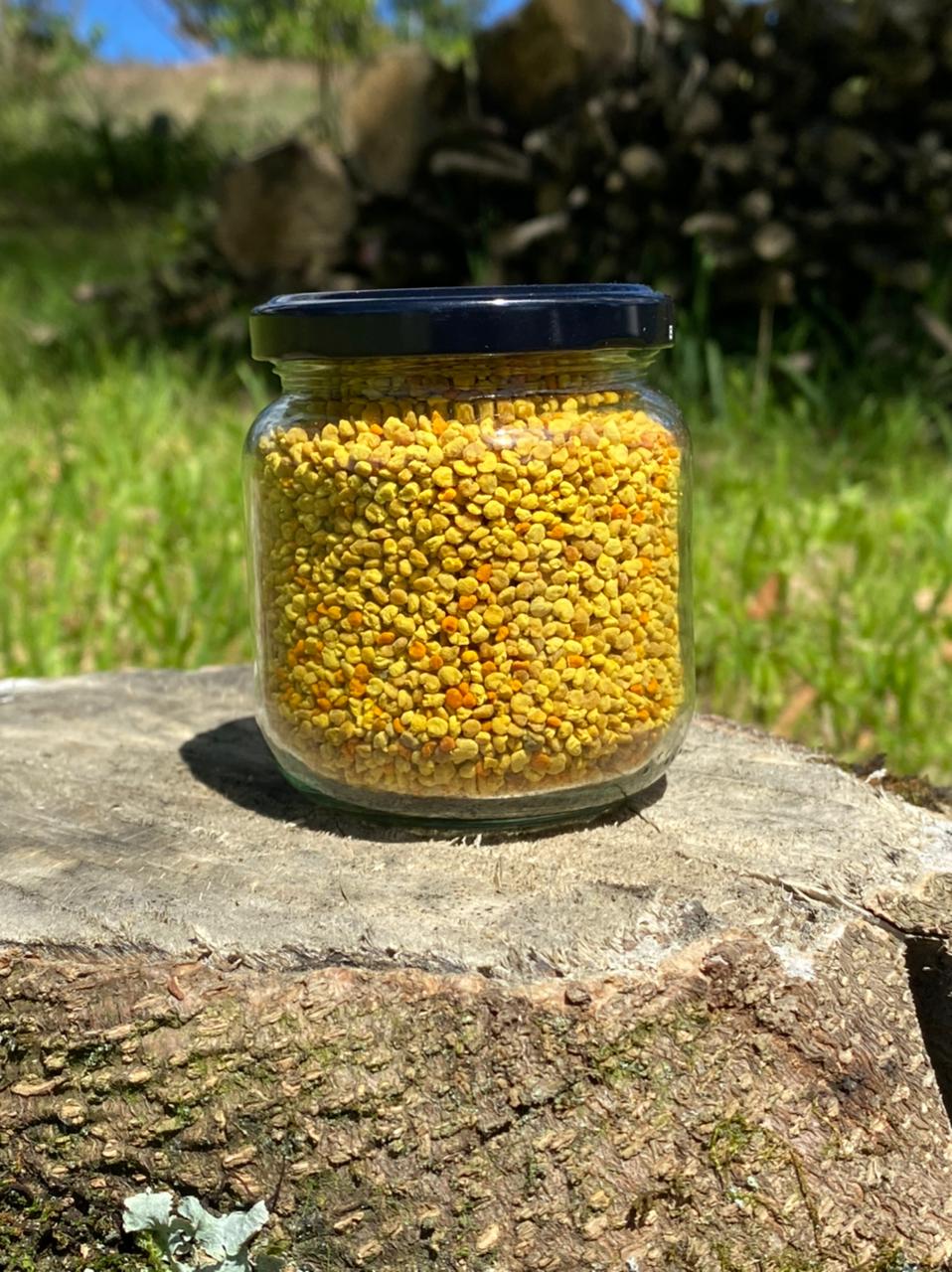 Comprar polen orgánico