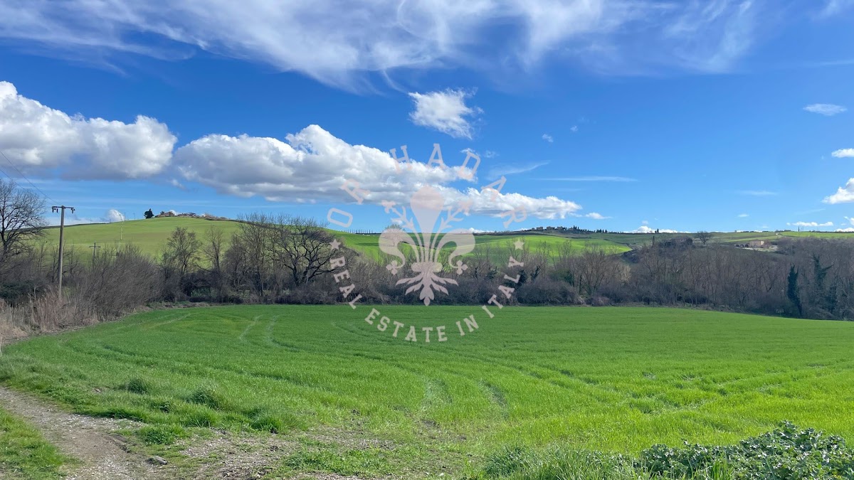 אזינדה לאסו (Azienda l'Asso) — 7