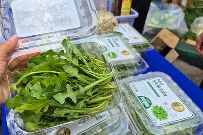 Bất ngờ về loại rau 350.000 đồng/kg vẫn được người ở TPHCM xem là 'rẻ' - Báo Người Lao Động