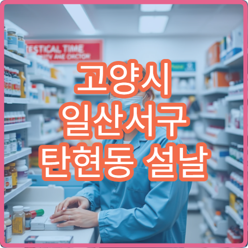 고양시 일산서구 탄현동 설날 명절 연휴 운영하는 당직 약국