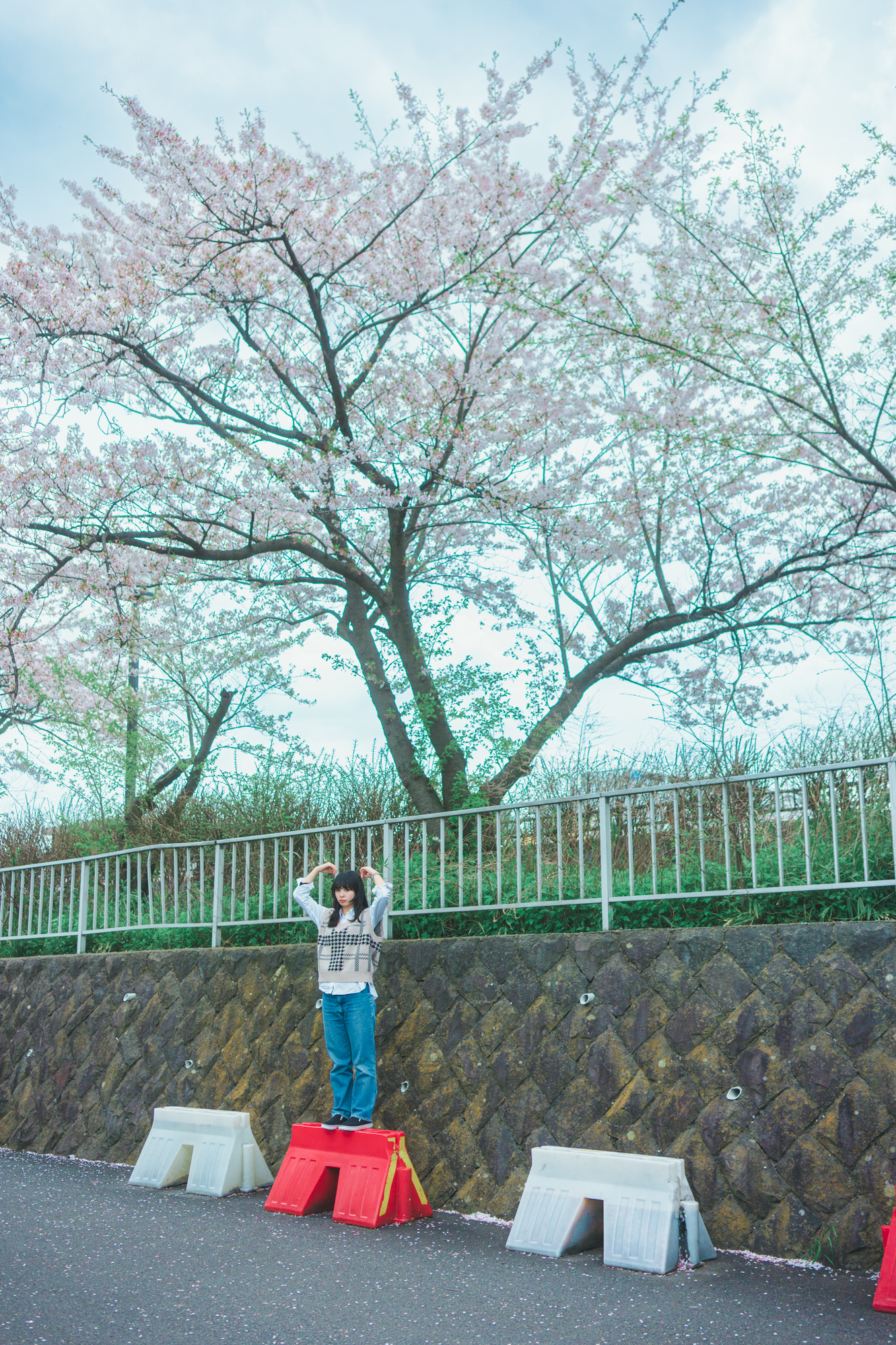 Portrait — Makino Shota