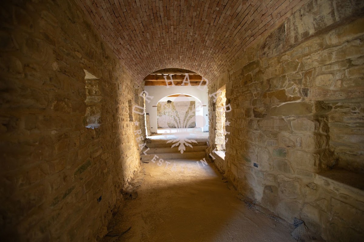 פודרה לה טולפה (Podere la Tolfa) — 5