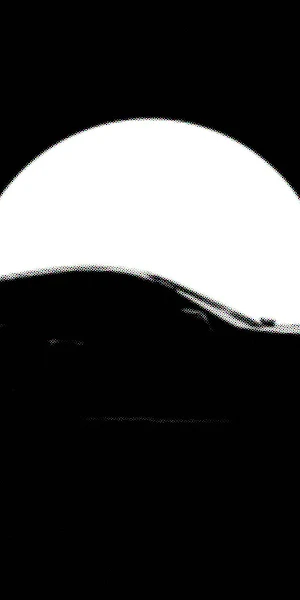 Toyota Supra, Jdm Car, Sports Car, Automotive Silhouette 4K Wallpaper Background