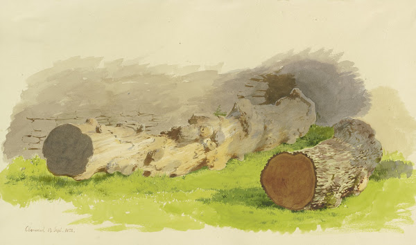 Abgesägte Baumstämme vor einer Mauer in Oberwesel September 13 1858