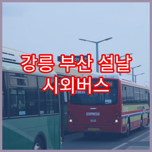 강릉 부산 설날 시외버스 예매 일정과 요금 확인 방법