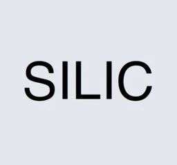 Captura de Silic AI