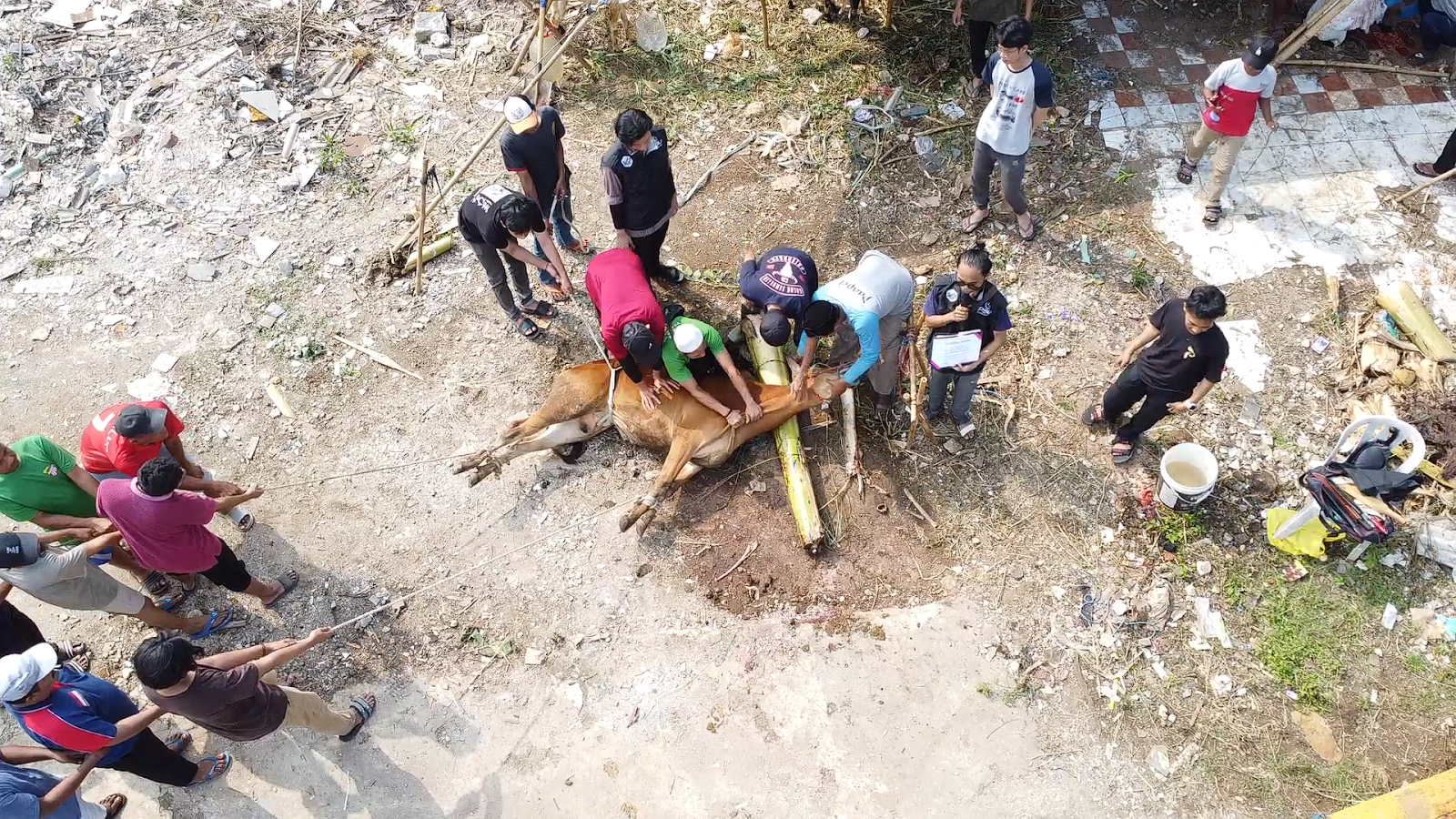 LDK SYAHID MELAKUKAN PENYEMBELIHAN SEBANYAK 14 HEWAN QURBAN DI IDUL ADHA 1444 H