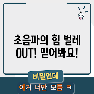 초음파벌레퇴치기 효과, 초음파벌레퇴치기 사용법, 어떻게 벌레를 퇴치하나, 초음파벌레퇴치기 원리