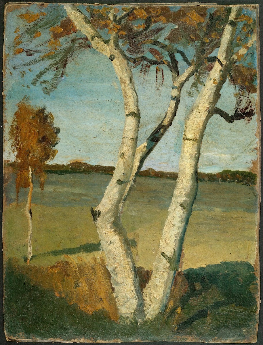 Birch Tree in a Landscape 1899