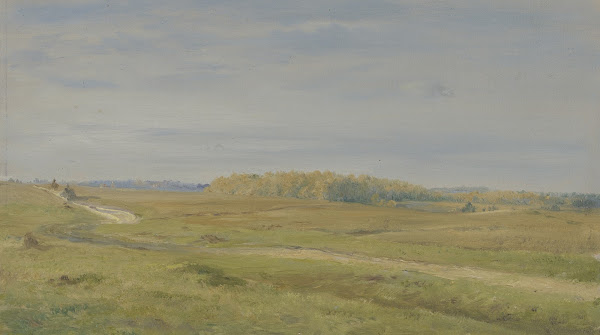 Flachlandschaft und niederer Wald