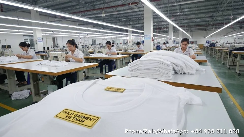 blank t-shirt manufacturer - Gold Garment Vietnam