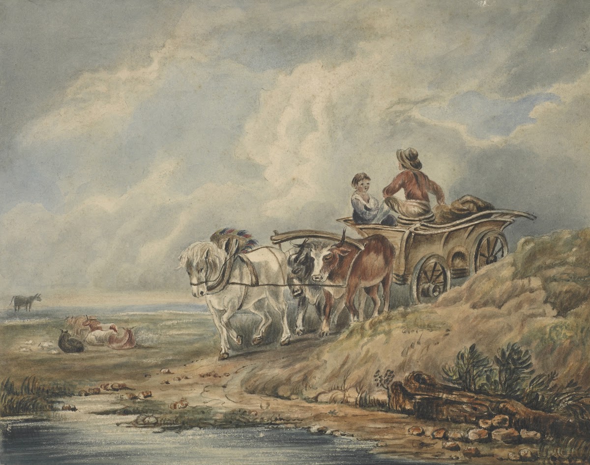 The Wagon
