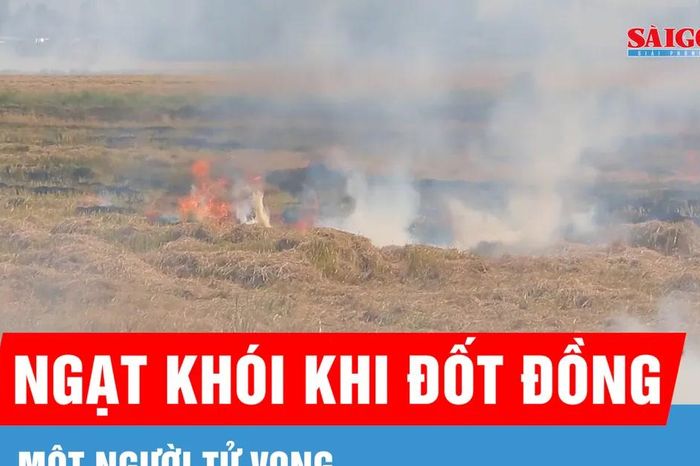 Người phụ nữ tử vong vì ngạt khói khi đốt đồng - Báo Sài Gòn Giải Phóng