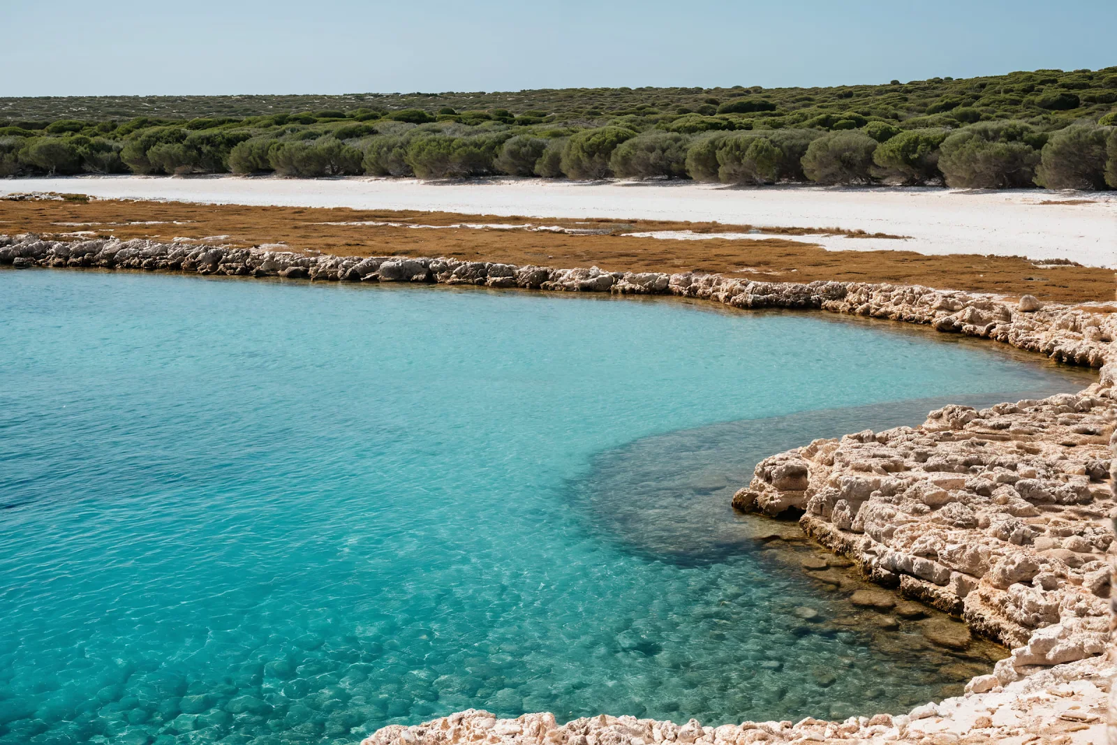 CAI ibiza online.blogspot 00437