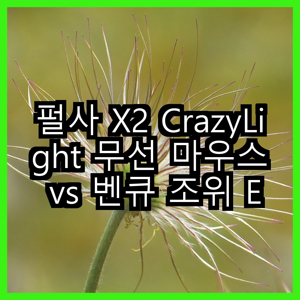 펄사 X2 CrazyLight 무선 마우스 vs 벤큐 조위 EC-DW 4K 무선 마우스, 어떤 선택이 더 나을까? 썸네일