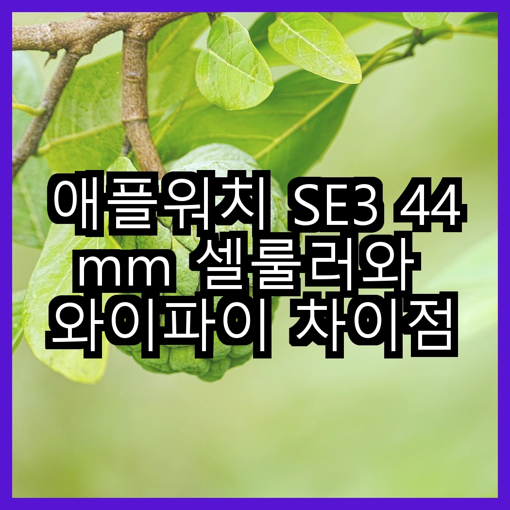 애플워치 SE3 44mm 셀룰러와 와이파이 차이점 썸네일
