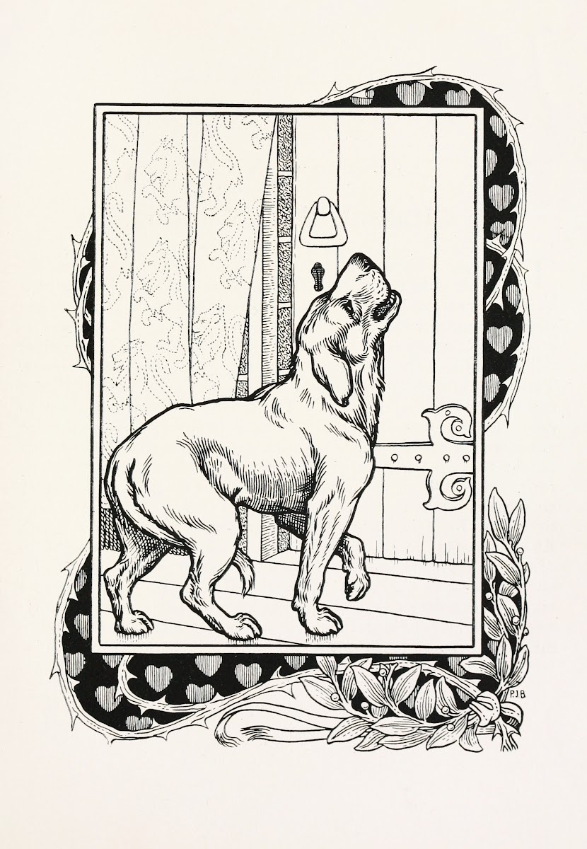 A hundred anecdotes of animals pl 035 1901