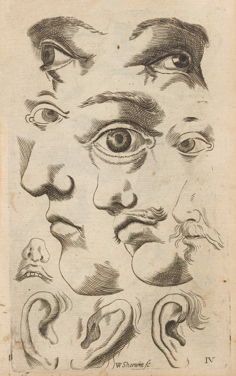 Plate IV Artist study of facial features 1685