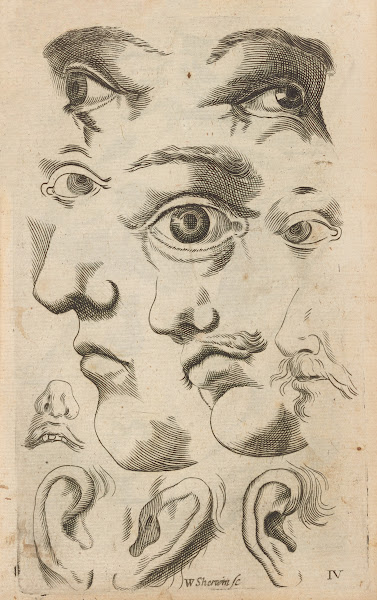 Plate IV Artist study of facial features 1685