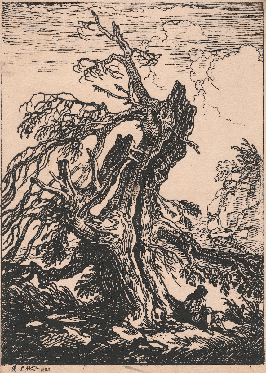 Study of a Tree 1802