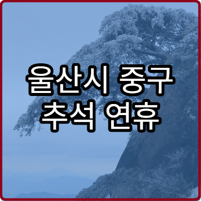 울산시 중구 추석 연휴 피부과 병원 확인과 빠른 이용법