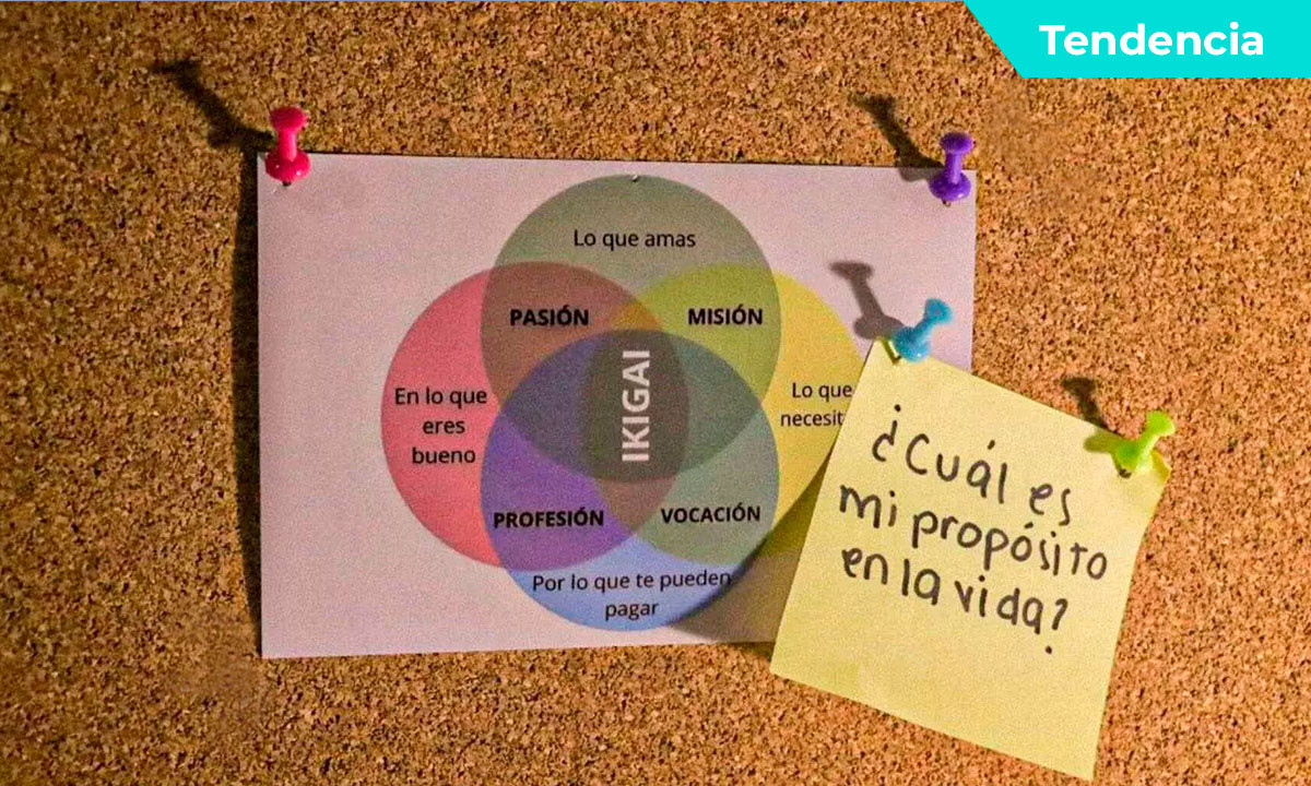 La Importancia del Ikigai en el Éxito Profesional