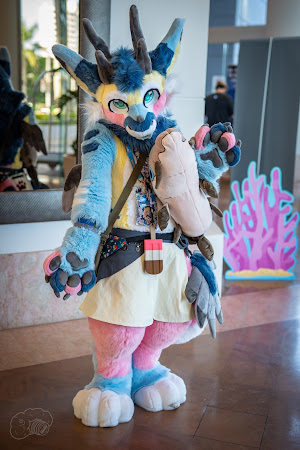 furdu-04109.jpg