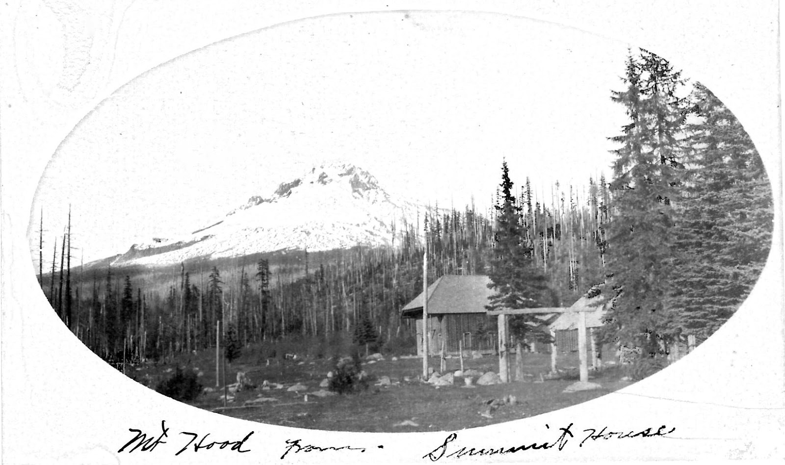 Murder on Mount Hood