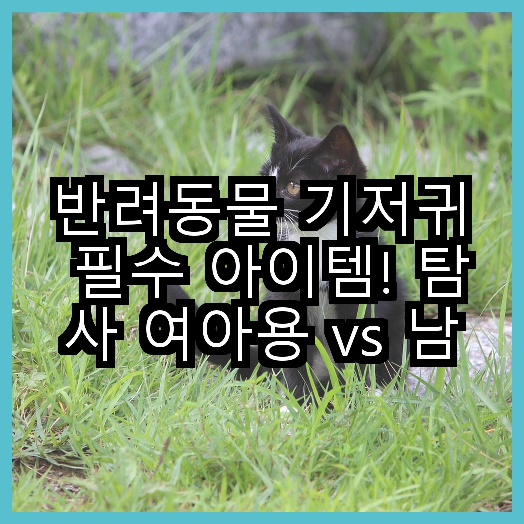 반려동물 기저귀 필수 아이템! 탐사 여아용 vs 남아용, 어떤 선택이 더 나을까? 썸네일