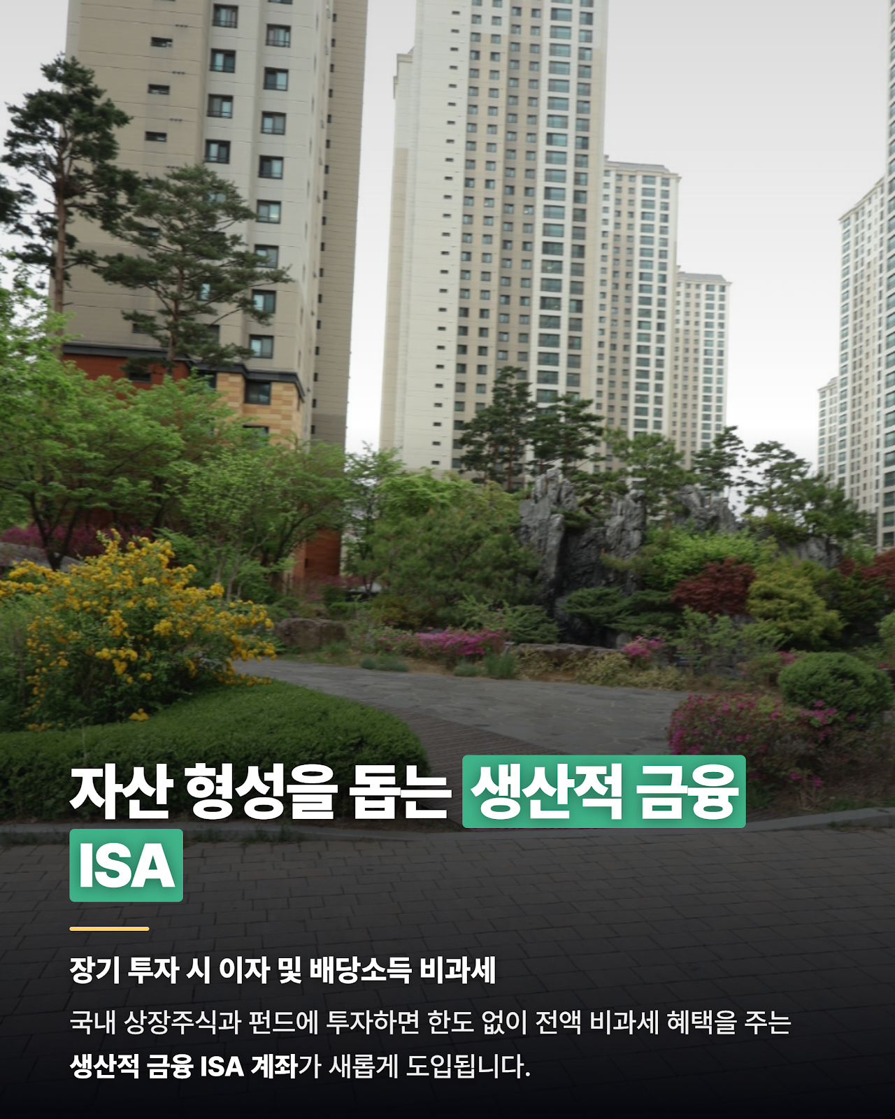 카드뉴스