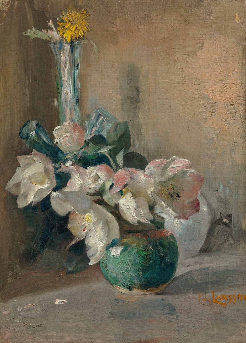 Christmas rose 1889