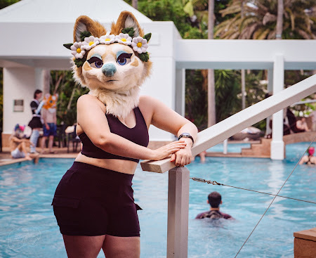 furdu--5.jpg