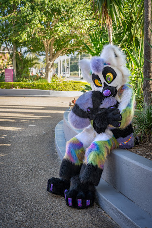 furdu-04043.jpg