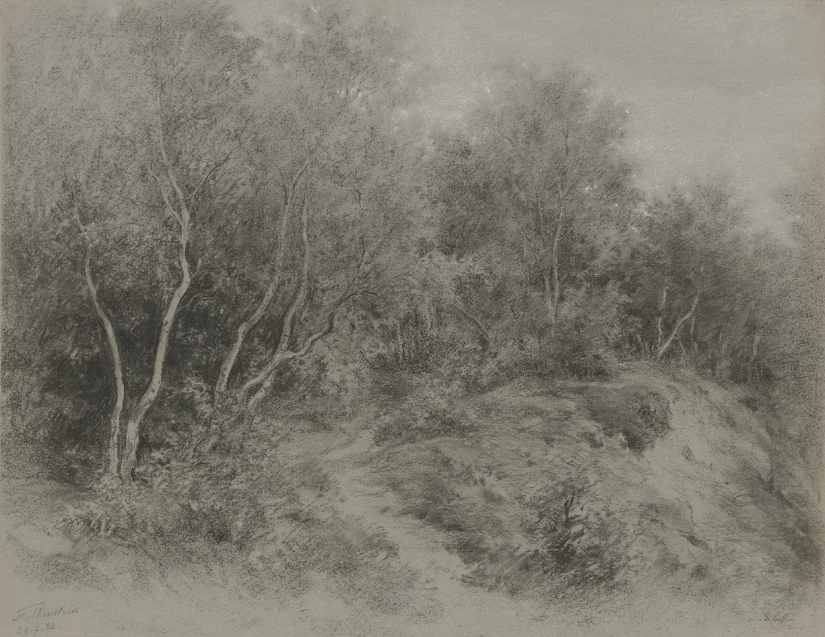 Waldweg bei Königstein Falkenstein 1882